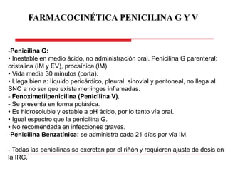 -Penicilina G:
• Inestable en medio ácido, no administración oral. Penicilina G parenteral:
cristalina (IM y EV), procaínica (IM).
• Vida media 30 minutos (corta).
• Llega bien a: líquido pericárdico, pleural, sinovial y peritoneal, no llega al
SNC a no ser que exista meninges inflamadas.
- Fenoximetilpenicilina (Penicilina V).
- Se presenta en forma potásica.
• Es hidrosoluble y estable a pH ácido, por lo tanto vía oral.
• Igual espectro que la penicilina G.
• No recomendada en infecciones graves.
-Penicilina Benzatínica: se administra cada 21 días por vía IM.
- Todas las penicilinas se excretan por el riñón y requieren ajuste de dosis en
la IRC.
FARMACOCINÉTICA PENICILINA G Y V
 