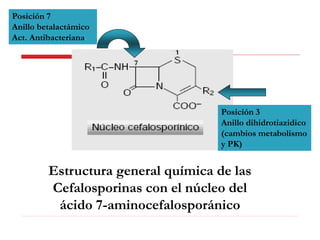 Estructura general química de las
Cefalosporinas con el núcleo del
ácido 7-aminocefalosporánico
Posición 3
Anillo dihidrotiazidico
(cambios metabolismo
y PK)
Posición 7
Anillo betalactámico
Act. Antibacteriana.
 