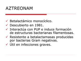 AZTREONAM
 Betalactámico monocíclico.
 Descubierto en 1981.
 Interactúa con PUP e induce formación
de estructuras bacterianas filamentosas.
 Resistente a betalactamasas producidas
por bacterias Gram negativas.
 Útil en infecciones graves.
 