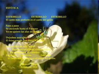 ESTÉTICA
 
 
ESTRIBILLO              ESTRIBILLO        ESTRIBILLO
El canto más perfecto es el canto del grillo
 
Paso a paso
Se asciende hasta el Parnaso
Yo no quiero las alas de Pegaso
 
Dejadme auscultar
El friso sonoro que fluye la fuente
 
Los palillos de mis dedos
       Repiquetean ritmos ritmos ritmos
    En el tamboril del cerebro
Estribillo    Estribillo        Estribillo
  El canto más perfecto es el canto del grillo.
 
              Gerardo Diego
              Estribillo, 1921
 