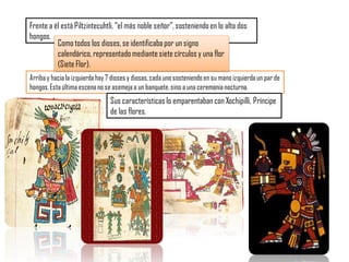 Arriba y haciala izquierdahay 7 diosesy diosas,cadauno sosteniendoen su mano izquierdaun par de
hongos.Esta última escenano se asemejaa un banquete,sino a una ceremonianocturna.
Frente a él está Piltzintecuhtli, “el más noble señor”, sosteniendo en lo alto dos
hongos.
Como todos los dioses, se identificaba por un signo
calendárico, representado mediante siete círculos y una flor
(Siete Flor).
Sus características lo emparentaban con Xochipilli, Príncipe
de las flores.
 