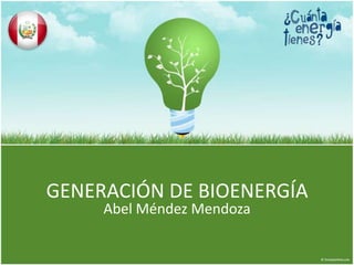 GENERACIÓN DE BIOENERGÍA
     Abel Méndez Mendoza
 