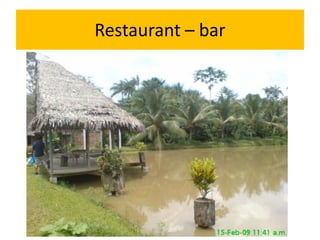 Restaurant – bar
 