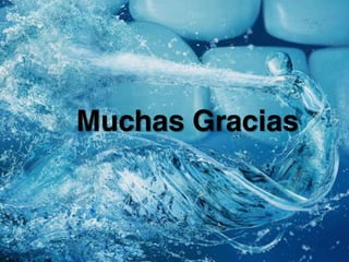 Muchas Gracias