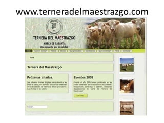 www.terneradelmaestrazgo.com
 