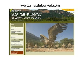 www.masdebunyol.com
 