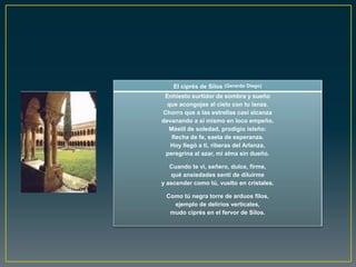 El ciprés de Silos (Gerardo Diego)
 Enhiesto surtidor de sombra y sueño
  que acongojas al cielo con tu lanza.
Chorro que a las estrellas casi alcanza
devanando a sí mismo en loco empeño.
  Mástil de soledad, prodigio isleño:
   flecha de fe, saeta de esperanza.
   Hoy llegó a ti, riberas del Arlanza,
 peregrina al azar, mi alma sin dueño.

   Cuando te vi, señero, dulce, firme,
   qué ansiedades sentí de diluirme
y ascender como tú, vuelto en cristales.

 Como tú negra torre de arduos filos,
   ejemplo de delirios verticales,
  mudo ciprés en el fervor de Silos.
 