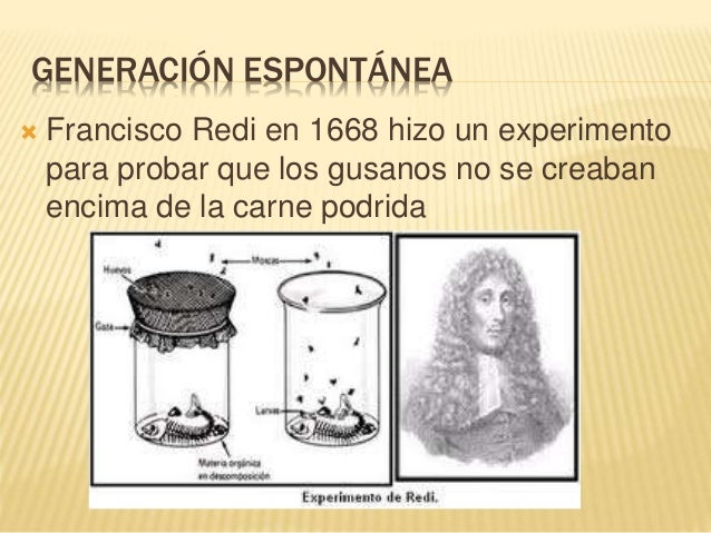 Generación espontánea