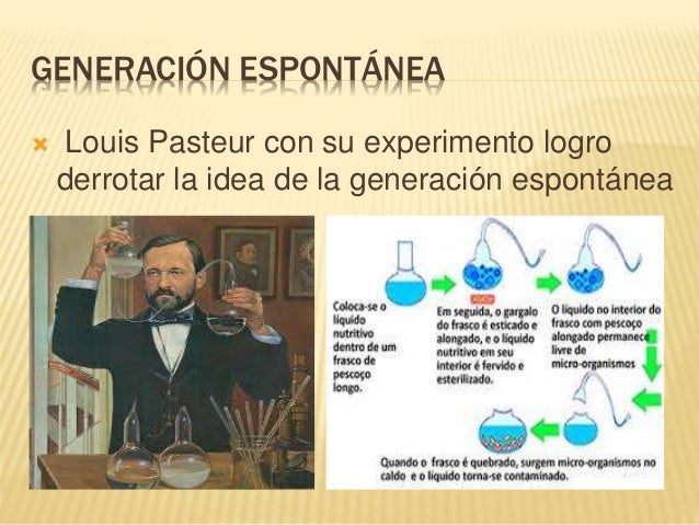 Generación espontánea