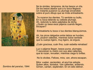 No te olvides, temprana, de los besos un día.
De los besos alados que a tu boca llegaron.
Un instante pusieron su plumaje encendido
sobre el puro dibujo que se rinde entreabierto.
Te rozaron los dientes. Tú sentiste su bulto,
En tu boca latiendo su celeste plumaje.
Ah, redondo tu labio palpitaba de dicha.
¿Quién no besa esos pájaros cuando llegan,
escapan?
Entreabierta tu boca vi tus dientes blanquísimos.
Ah, los picos delgados entre labios se hunden.
Ah, picaron celestes, mientras dulce sentiste
que tu cuerpo ligero, muy ligero, se erguía.
¡Cuán graciosa, cuán fina, cuán esbelta reinabas!
Luz o pájaros llegan, besos puros, plumajes.
Y oscurecen tu rostro con sus alas calientes,
que te rozan, revuelan, mientras ciega tú brillas.
No lo olvides. Felices, mira, van, ahora escapan.
Mira: vuelan, ascienden, el azul los adopta.
Suben altos, dorados. Van calientes, ardiendo.
Gimen, cantan, esplenden. En el cielo deliran.Sombra del paraíso, 1944
 