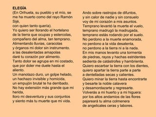 ELEGÍA
(En Orihuela, su pueblo y el mío, se
me ha muerto como del rayo Ramón
Sijé,
con quien tanto quería).
Yo quiero ser llorando el hortelano
de la tierra que ocupas y estercolas,
compañero del alma, tan temprano.
Alimentando lluvias, caracolas
y órganos mi dolor sin instrumento.
a las desalentadas amapolas
daré tu corazón por alimento.
Tanto dolor se agrupa en mi costado,
que por doler me duele hasta el
aliento.
Un manotazo duro, un golpe helado,
un hachazo invisible y homicida,
un empujón brutal te ha derribado.
No hay extensión más grande que mi
herida,
lloro mi desventura y sus conjuntos
y siento más tu muerte que mi vida.
Ando sobre rastrojos de difuntos,
y sin calor de nadie y sin consuelo
voy de mi corazón a mis asuntos.
Temprano levantó la muerte el vuelo,
temprano madrugó la madrugada,
temprano estás rodando por el suelo.
No perdono a la muerte enamorada,
no perdono a la vida desatenta,
no perdono a la tierra ni a la nada.
En mis manos levanto una tormenta
de piedras, rayos y hachas estridentes
sedienta de catástrofes y hambrienta.
Quiero escarbar la tierra con los dientes,
quiero apartar la tierra parte a parte
a dentelladas secas y calientes.
Quiero minar la tierra hasta encontrarte
y besarte la noble calavera
y desamordazarte y regresarte.
Volverás a mi huerto y a mi higuera:
por los altos andamios de las flores
pajareará tu alma colmenera
de angelicales ceras y labores.
 