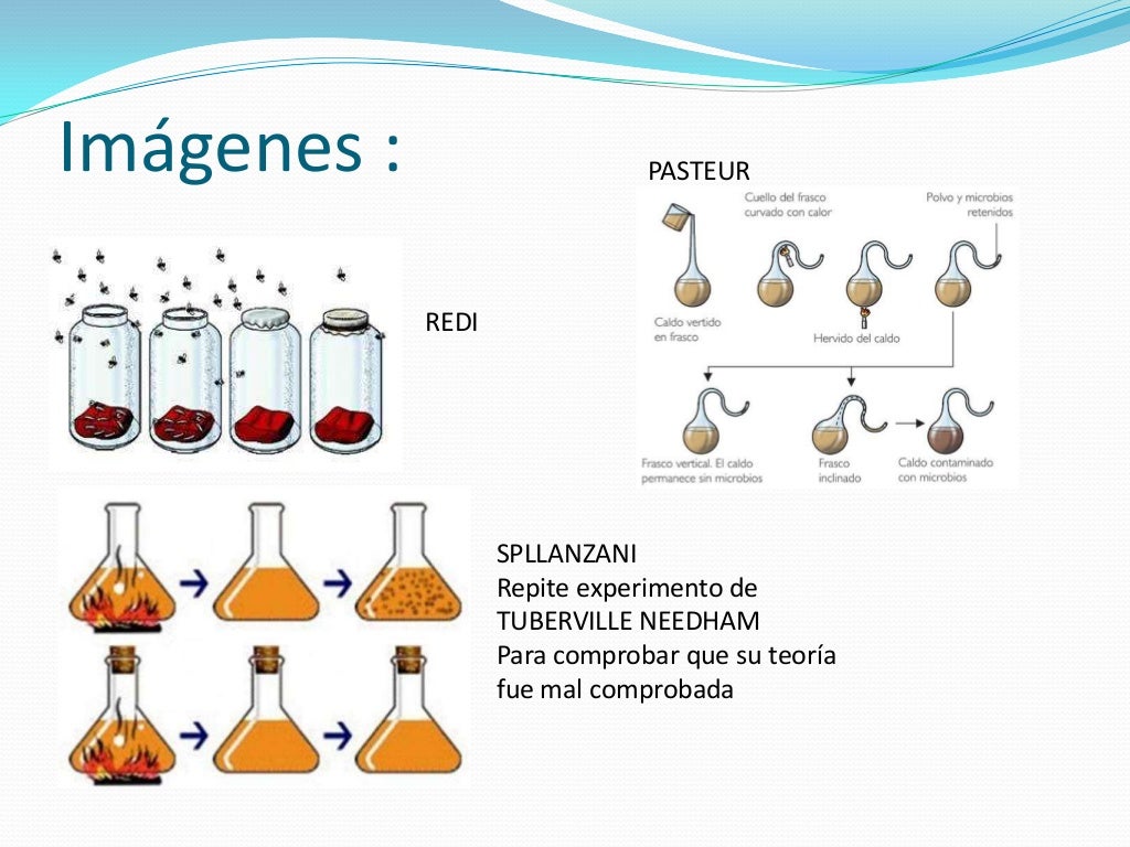 Generacion espontánea (teoría de la vida) Generacion espontánea (teoría de la vida)