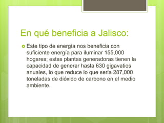 En qué beneficia a Jalisco:
 Este tipo de energía nos beneficia con
suficiente energía para iluminar 155,000
hogares; estas plantas generadoras tienen la
capacidad de generar hasta 630 gigavatios
anuales, lo que reduce lo que seria 287,000
toneladas de dióxido de carbono en el medio
ambiente.
 