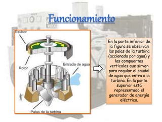 En la parte inferior de
la figura se observan
las palas de la turbina
(accionada por agua) y
las compuertas
verticales que sirven
para regular el caudal
de agua que entra a la
turbina. En la parte
superior está
representado el
generador de energía
eléctrica.
 