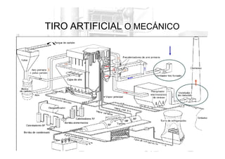 TIRO ARTIFICIAL O MECÁNICO
• Se designa tiro forzado a la corriente que se genera cuando el
aire es inyectado con el combustible al hogar de la caldera.
• Se llama tiro
tiro aspirado
aspirado o
o inducido
inducido a la corriente que se genera
• Se llama tiro
tiro aspirado
aspirado o
o inducido
inducido a la corriente que se genera
cuando los gases de la combustión son aspirados luego de la
caldera.
• Se llama tiro
tiro balanceado
balanceado o
o equilibrado
equilibrado a la combinación de los
anteriores.
 