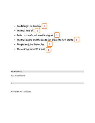 Attachments
Add attachments
7
Complete the sentences.
 