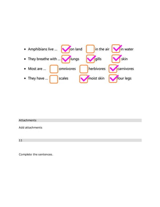 Attachments
Add attachments
11
Complete the sentences.
 