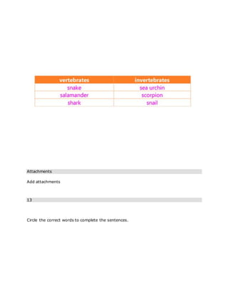 Attachments
Add attachments
13
Circle the correct words to complete the sentences.
 