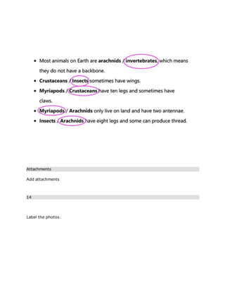 Attachments
Add attachments
14
Label the photos.
 