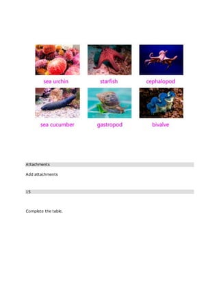 Attachments
Add attachments
15
Complete the table.
 