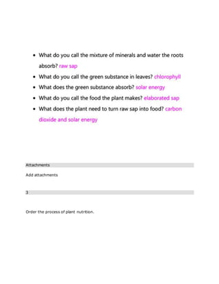 Attachments
Add attachments
3
Order the process of plant nutrition.
 