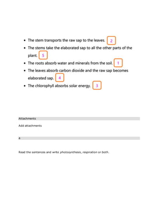 Attachments
Add attachments
4
Read the sentences and write photosynthesis, respiration or both.
 
