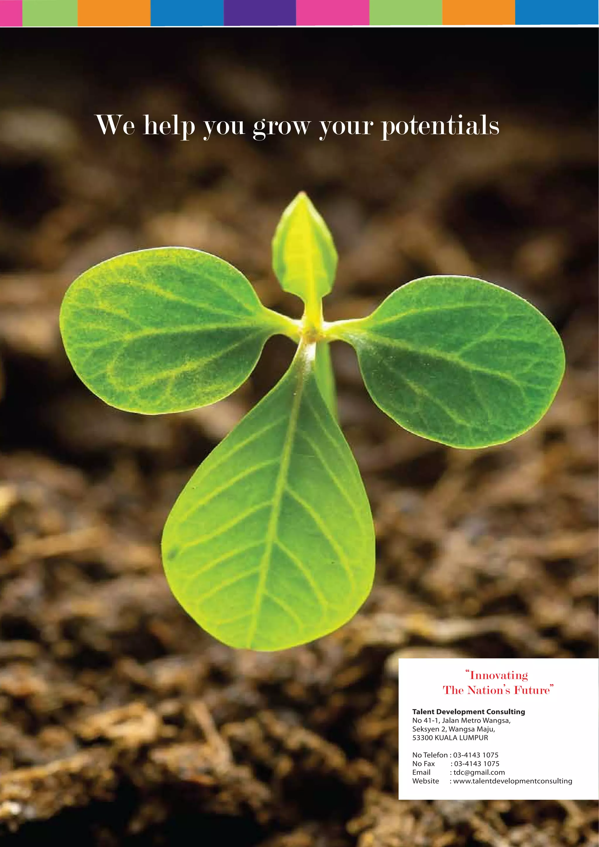 Talent Development Consulting 