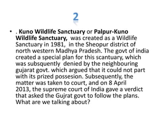 • . Kuno Wildlife Sanctuary or Palpur-Kuno
Wildlife Sanctuary, was created as a Wildlife
Sanctuary in 1981, in the Sheopur district of
north western Madhya Pradesh. The govt of india
created a special plan for this scantuary, which
was subsquently denied by the neighbouring
gujarat govt. which argued that it could not part
with its prized possesion. Subsequently, the
matter was taken to court, and on 8 April
2013, the supreme court of India gave a verdict
that asked the Gujrat govt to follow the plans.
What are we talking about?
 