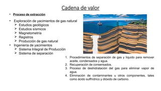 Cadena de Valor de Gas Natural en el sector enegetico | PPTX
