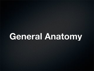 General Anatomy
 