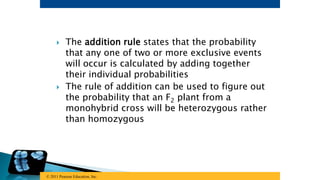 General-Biology----------2_Genetics.pptx