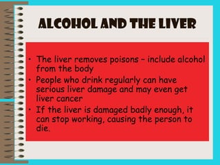 ALCOHOL and the LIVER
• The liver removes poisons – include alcohol
from the body
• People who drink regularly can have
serious liver damage and may even get
liver cancer
• If the liver is damaged badly enough, it
can stop working, causing the person to
die.
 