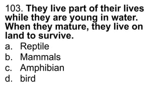 103. They live part of their lives
while they are young in water.
When they mature, they live on
land to survive.
a. Reptile
b. Mammals
c. Amphibian
d. bird
 