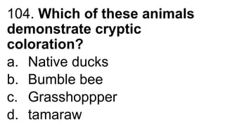 104. Which of these animals
demonstrate cryptic
coloration?
a. Native ducks
b. Bumble bee
c. Grasshoppper
d. tamaraw
 