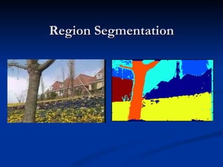 General introduction to computer vision | PPT