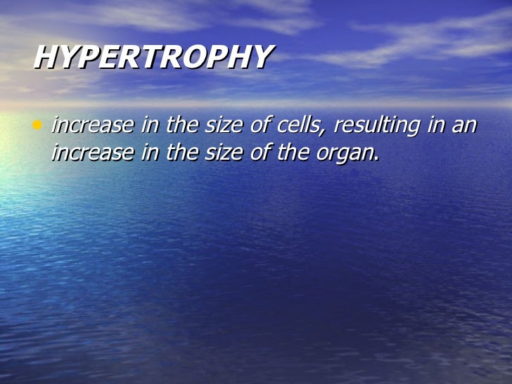 pathological hypertrophy pathological hypertrophy
