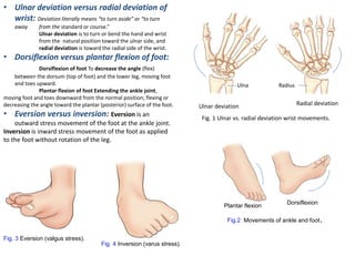 Ulna Varus General radiological-procedure | PPTX