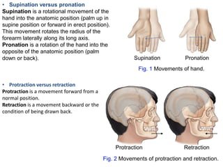 General radiological-procedure | PPTX