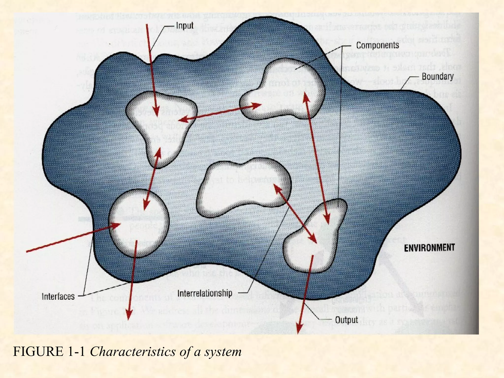 FIGURE 1-1  Characteristics of a system 