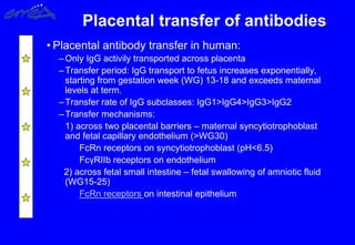 Placental transfer of antibodies
• Placental antibody transfer in human:
–Only IgG activily transported across placenta
–Transfer period: IgG transport to fetus increases exponentially,
starting from gestation week (WG) 13-18 and exceeds maternal
levels at term.
–Transfer rate of IgG subclasses: IgG1>IgG4>IgG3>IgG2
–Transfer mechanisms:
1) across two placental barriers – maternal syncytiotrophoblast
and fetal capillary endothelium (>WG30)
FcRn receptors on syncytiotrophoblast (pH<6.5)
FcγRIIb receptors on endothelium
2) across fetal small intestine – fetal swallowing of amniotic fluid
(WG15-25)
FcRn receptors on intestinal epithelium
 