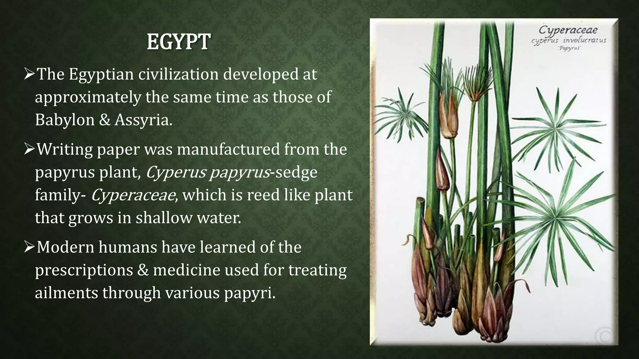 EGYPT 
The Egyptian civilization developed at 
approximately the same time as those of 
Babylon & Assyria. 
Writing paper was manufactured from the 
papyrus plant, Cyperus papyrus-sedge 
family- Cyperaceae, which is reed like plant 
that grows in shallow water. 
Modern humans have learned of the 
prescriptions & medicine used for treating 
ailments through various papyri. 
 