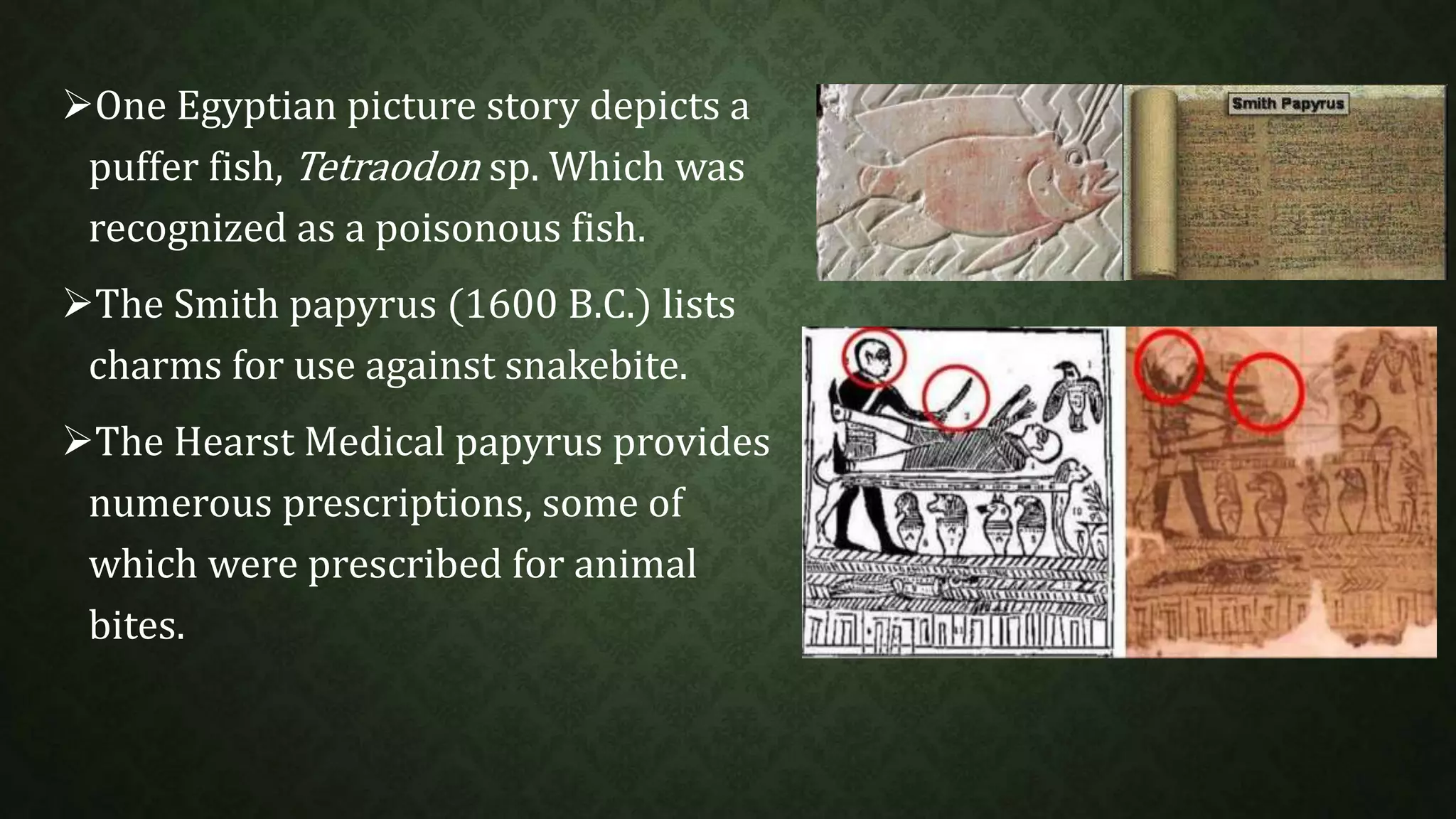 One Egyptian picture story depicts a 
puffer fish, Tetraodon sp. Which was 
recognized as a poisonous fish. 
The Smith papyrus (1600 B.C.) lists 
charms for use against snakebite. 
The Hearst Medical papyrus provides 
numerous prescriptions, some of 
which were prescribed for animal 
bites. 
 