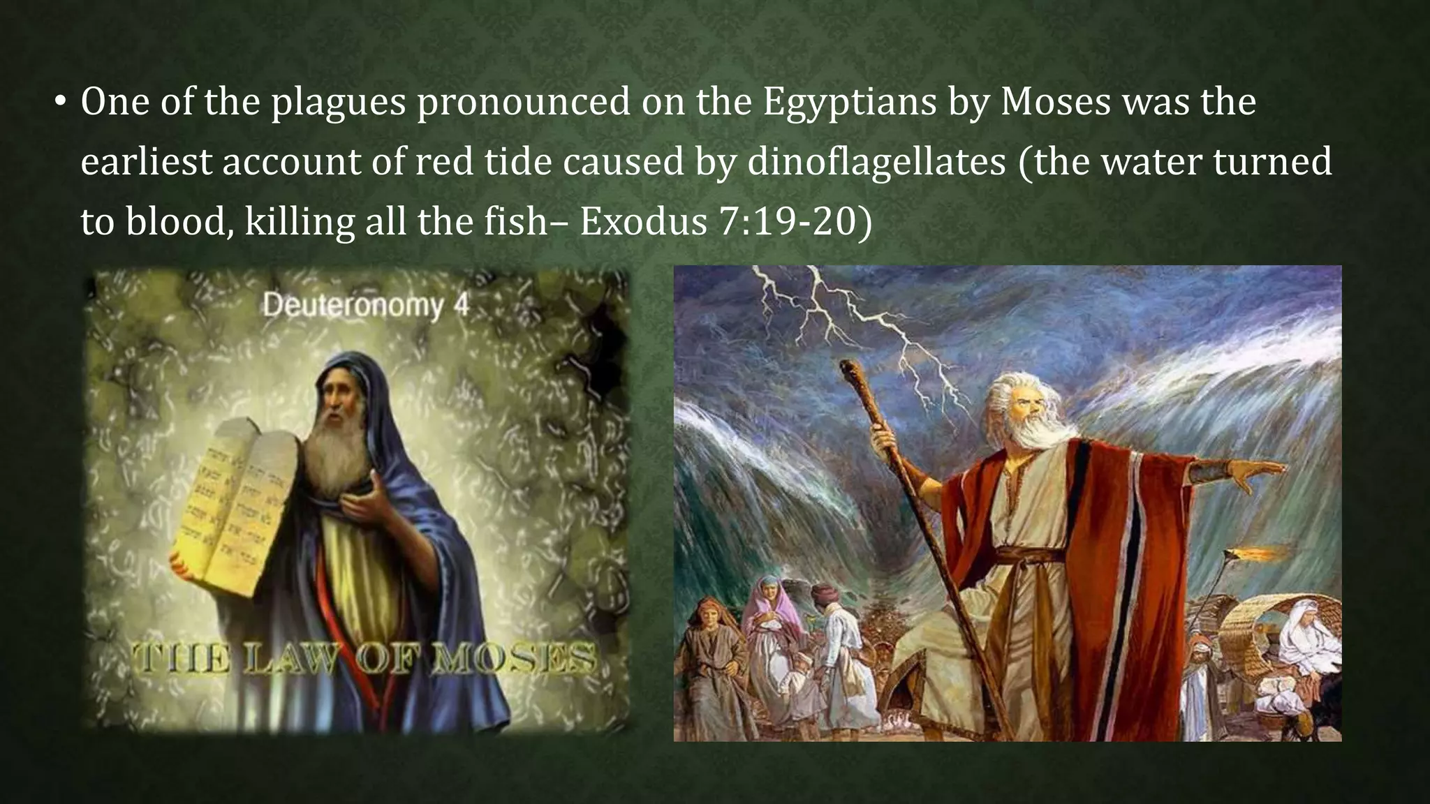 • One of the plagues pronounced on the Egyptians by Moses was the 
earliest account of red tide caused by dinoflagellates (the water turned 
to blood, killing all the fish– Exodus 7:19-20) 
 