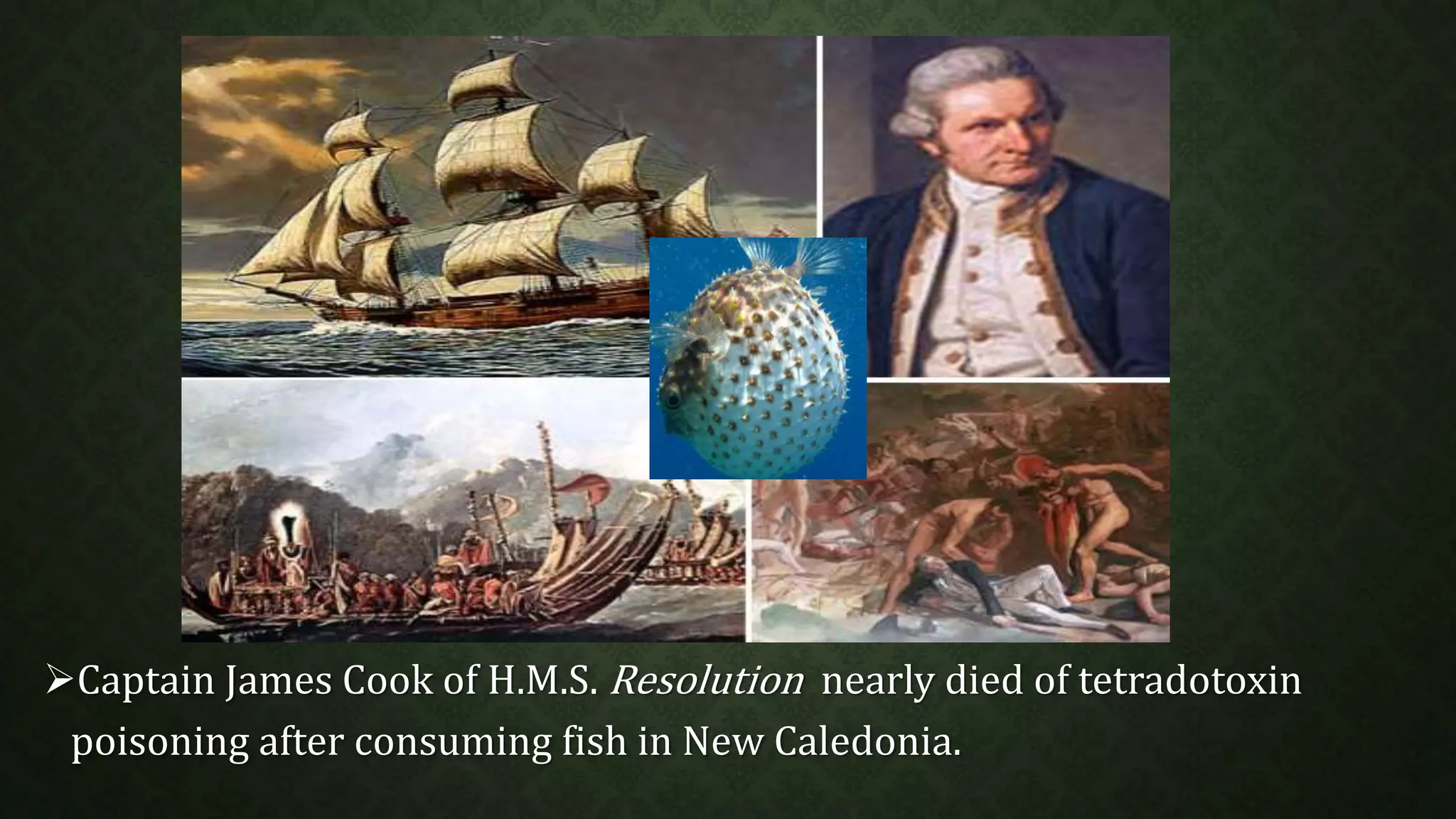 Captain James Cook of H.M.S. Resolution nearly died of tetradotoxin 
poisoning after consuming fish in New Caledonia. 
 