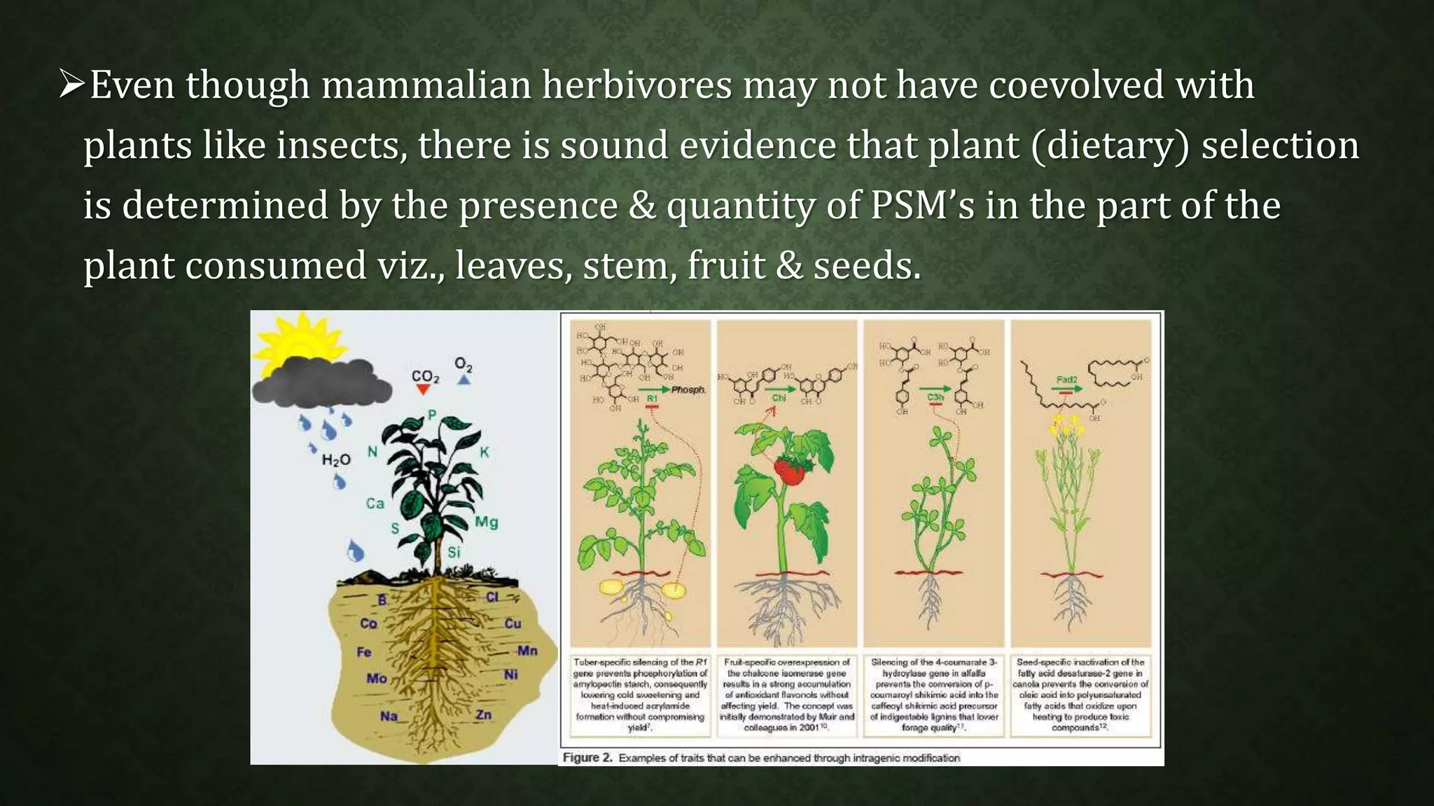 Even though mammalian herbivores may not have coevolved with 
plants like insects, there is sound evidence that plant (dietary) selection 
is determined by the presence & quantity of PSM’s in the part of the 
plant consumed viz., leaves, stem, fruit & seeds. 
 