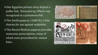One Egyptian picture story depicts a 
puffer fish, Tetraodon sp. Which was 
recognized as a poisonous fish. 
The Smith papyrus (1600 B.C.) lists 
charms for use against snakebite. 
The Hearst Medical papyrus provides 
numerous prescriptions, some of 
which were prescribed for animal 
bites. 
 