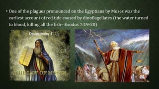 • One of the plagues pronounced on the Egyptians by Moses was the 
earliest account of red tide caused by dinoflagellates (the water turned 
to blood, killing all the fish– Exodus 7:19-20) 
 