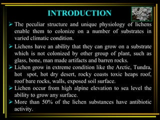 Intiibiotic Rocks General account of lichens ppt 23.02.2021