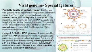 Comprehensive overview of viruses- their structure & characteristics | PPTX
