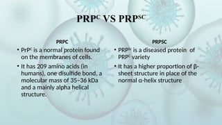 Prpc Overview Comprehensive overview of viruses- their structure & characteristics | PPTX